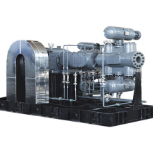 High pressure Reciprocating Piston Compressor Hydrogen Chloride Methyl Chloride Gas Compressor